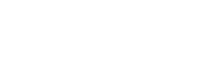 Seton Teaching Fellows